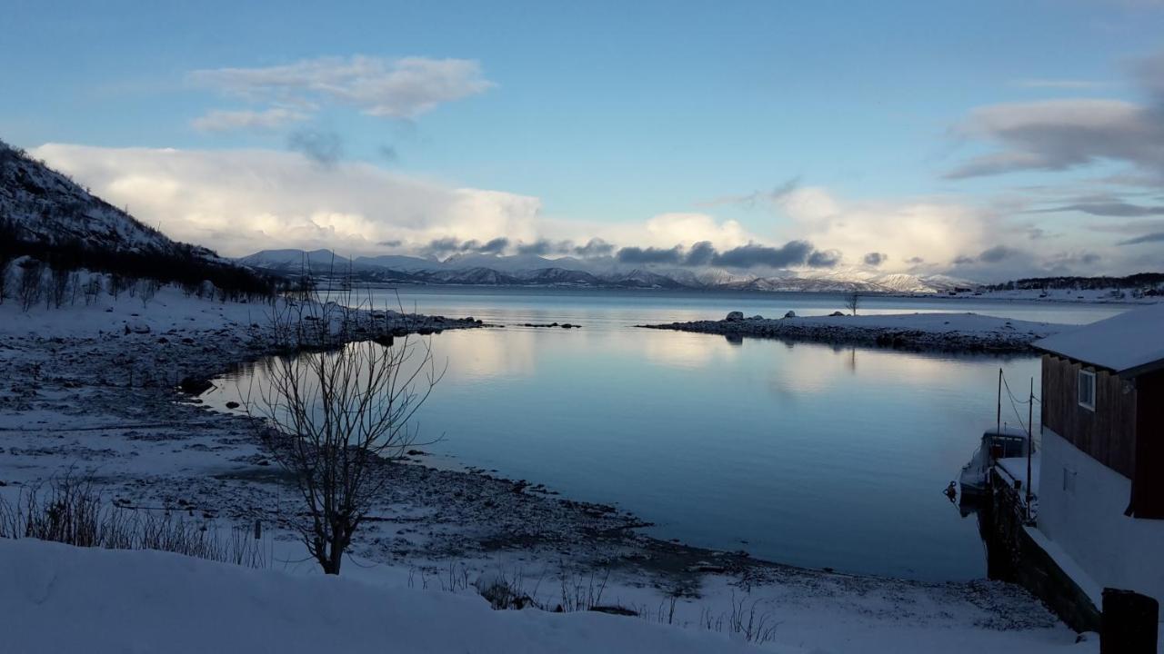 Prima Lofoten Leilighet Myrland Eksteriør bilde