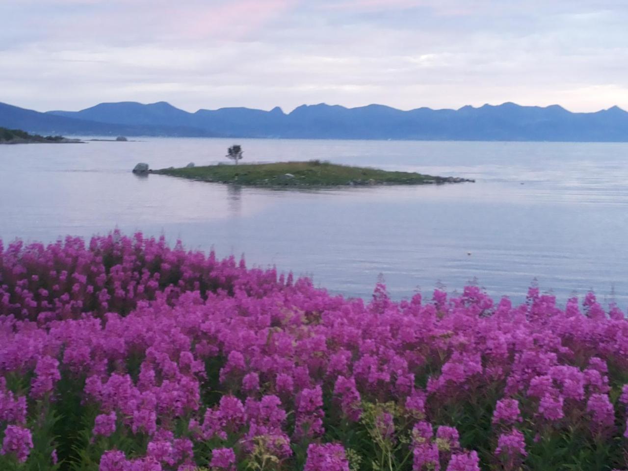 Prima Lofoten Leilighet Myrland Eksteriør bilde