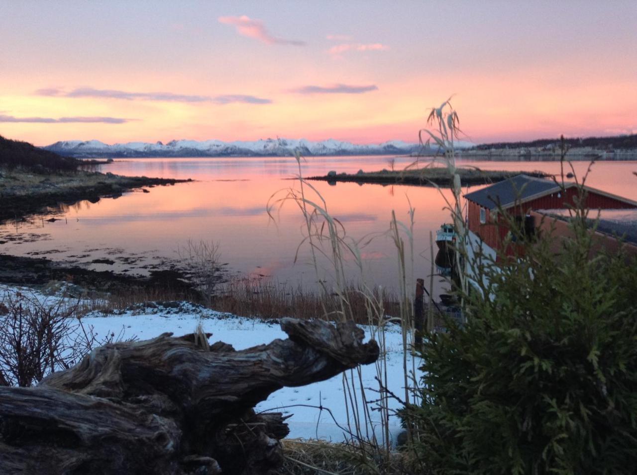 Prima Lofoten Leilighet Myrland Eksteriør bilde