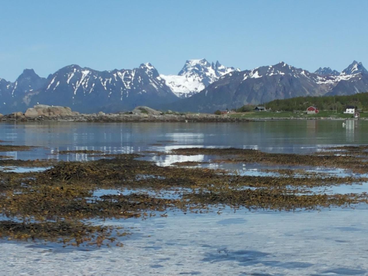 Prima Lofoten Leilighet Myrland Eksteriør bilde