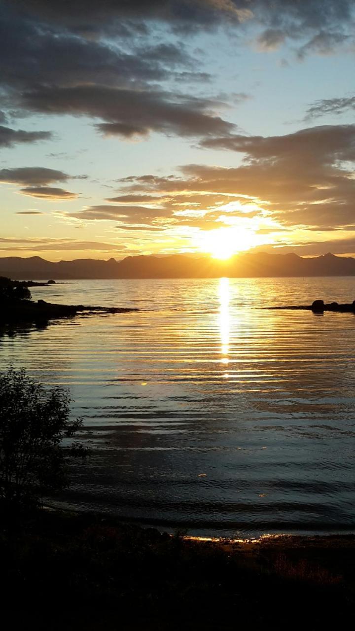 Prima Lofoten Leilighet Myrland Eksteriør bilde