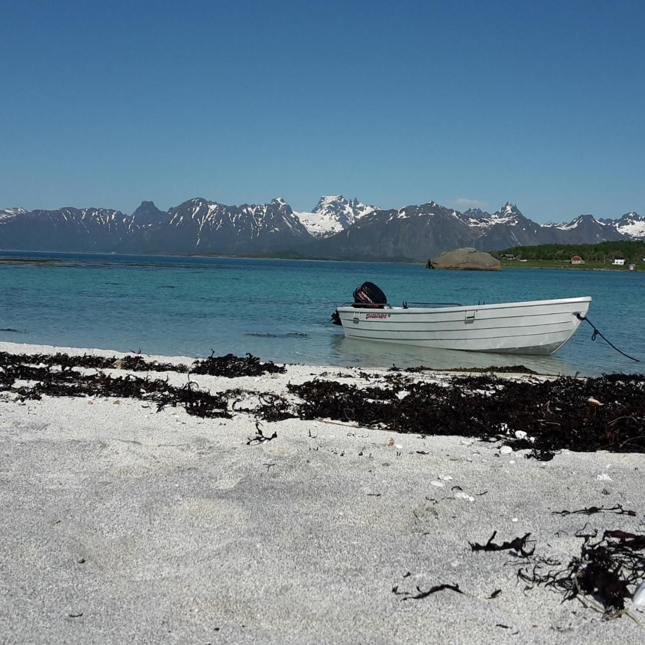 Prima Lofoten Leilighet Myrland Eksteriør bilde