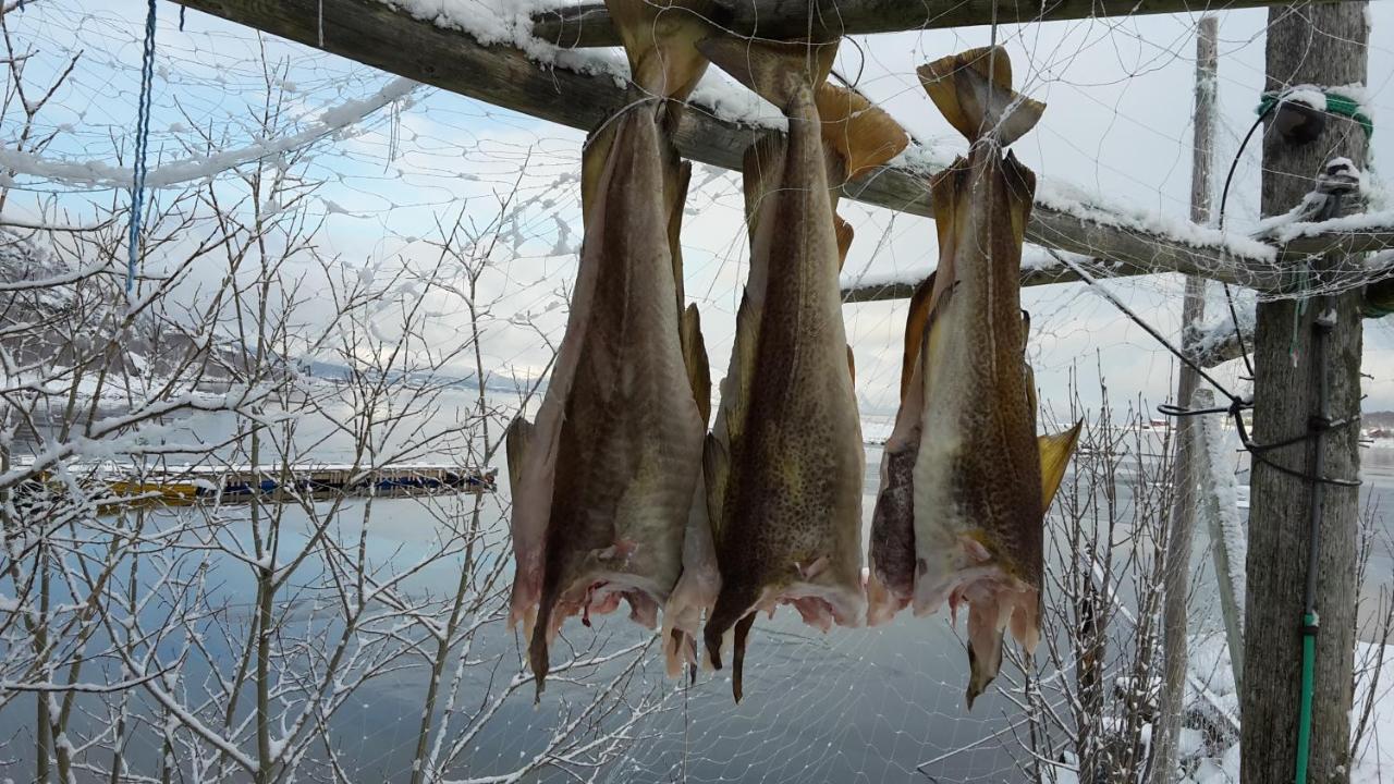 Prima Lofoten Leilighet Myrland Eksteriør bilde